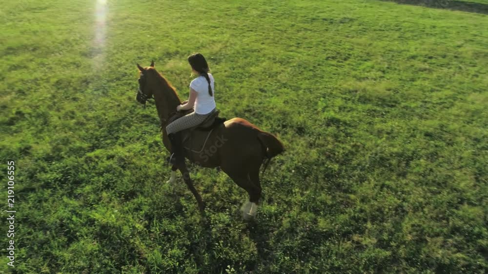 A young woman rides a brown horse, aerial view, slow motion, object moving away from the camera A young woman rides a brown horse, aerial view, slow motion, object moving away from the camera