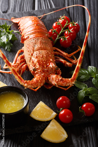 Expensive food: spiny boiled lobster with fresh tomato, lemon and melted butter close-up on stone. vertical