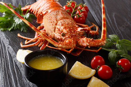 beautiful boiled spiny lobster is served with tomato, lemon and melted butter close-up. horizontal