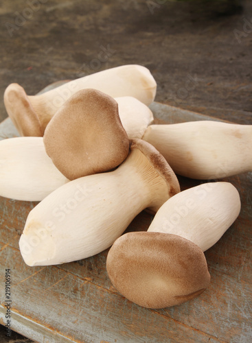 fresh uncooked mushrooms