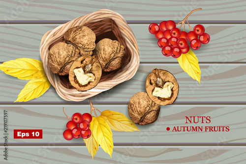 Greek walnuts Vector realistic. Wooden background. Autumn detailed harvests
