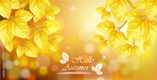 Hello autumn with golden leaves background Vector realistic. Beautiful fall t...