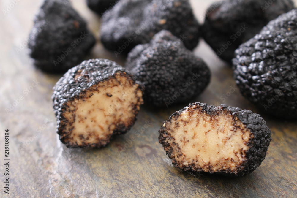 fresh black truffle fresh black truffle