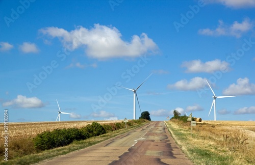 Petite route de campagne et éoliennes (Yonne, Bourgogne, France) 