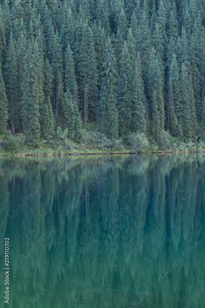 reflection of conifers in the water, summer landscape, Kazakhstan, Lake Kolsai reflection of conifers in the water, summer landscape, Kazakhstan, Lake Kolsai