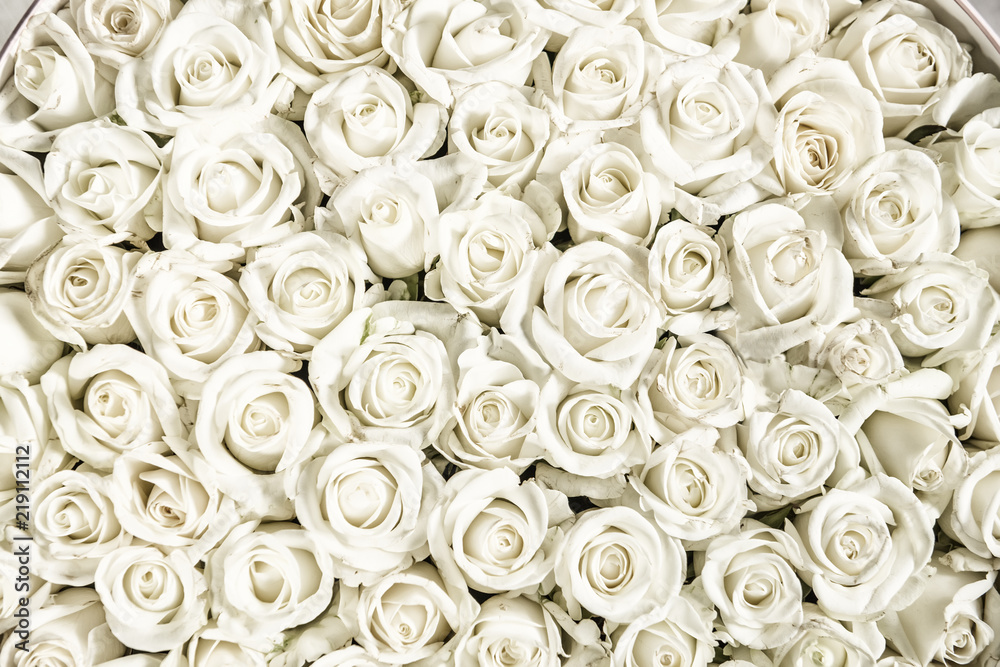 Fototapeta premium Wiele białych róż to widok z góry. Zabytkowy styl.