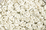 Many white roses are a top view. Vintage style. 