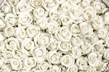 Poster Rozen Witte rozen vintage bovenaanzicht  © Ann Stryzhekin