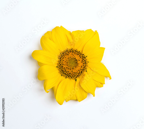 A small yellow sunflower on a white background.