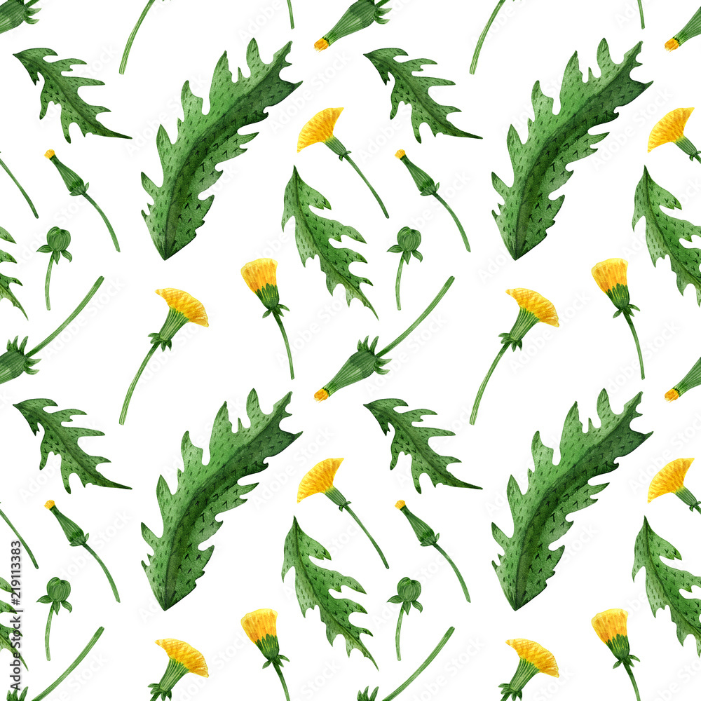Watercolor seamless pattern of dandelion buds, flowers and leaves