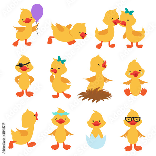 Cartoon cute ducks. Little baby yellow chick vector isolated characters