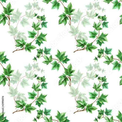 Floral seamless pattern with ivy branch watercolor in hand drawn sketch style on white background