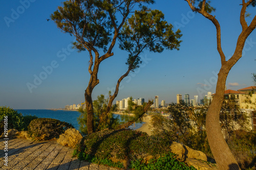 View of Tel Aviv from Abrasha Park, Yafo, Israel photo