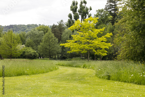 view of the path in the park