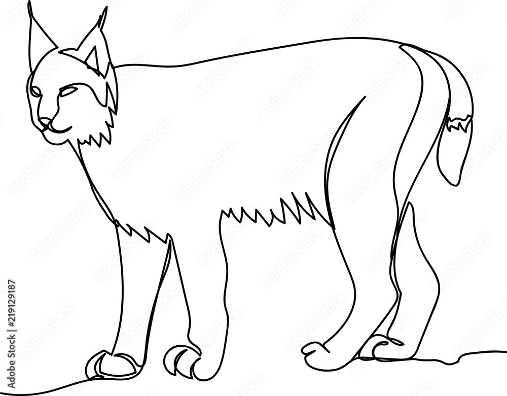 Fototapeta premium lynx. Doodle. continuous sketch. one line