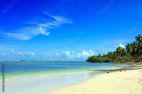 Fototapeta Naklejka Na Ścianę i Meble -  Palm trees on white tropical beach. Travel background.