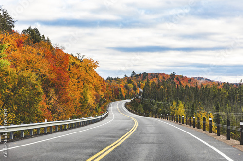 Canada, Ontario, main road through colorful trees in the Algonquin park area
