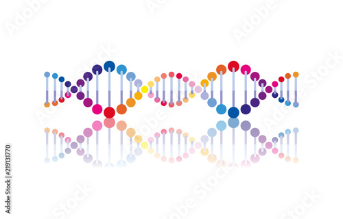 horizontal dna chain science colorful icon vector illustration design