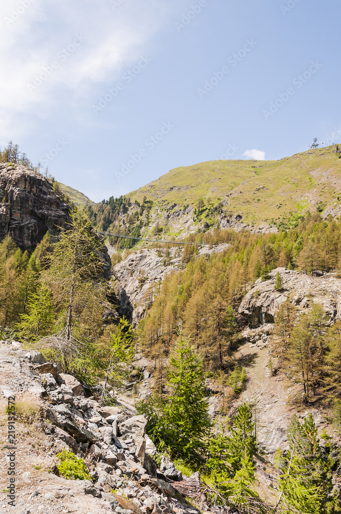 Zermatt, Furi, Hängebrücke, Wanderweg, Gornerschlucht, Schlucht, Gornera, Wildbach, Lärchenwald, Arve, Gletschergarten, Wallis, Alpen, Walliser Berge, Sommer, Schweiz