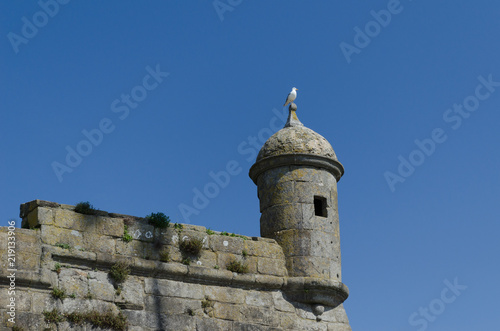 Gaviota sobre la garita de una fortaleza. Viana do Castelo, Portugal