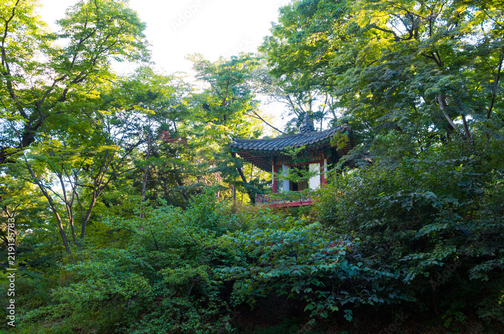 King's secret garden Palace Changdeokgung Seoul Korea King's secret garden Palace Changdeokgung Seoul Korea
