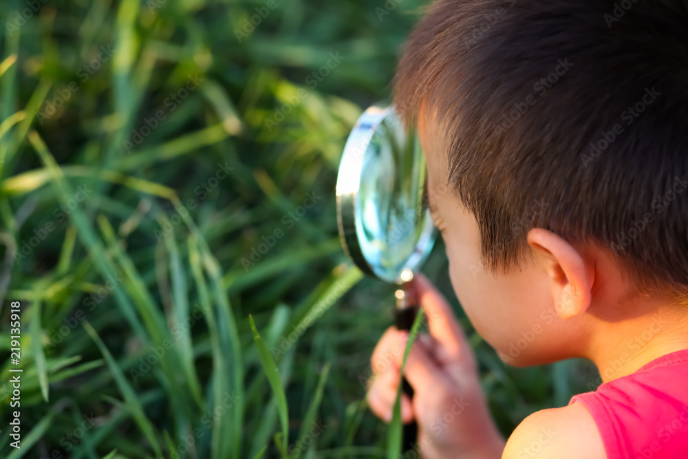 Cute little child boy looking through a magnifying glass on the tree in the garden. Study of plants. Cute little child boy looking through a magnifying glass on the tree in the garden. Study of plants.