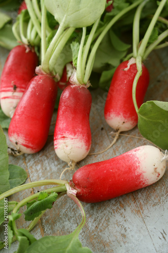 preparing fresh red european radishes