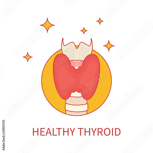 Healthy thyroid gland front view on white background. Human body organs anatomy linear icon. Thyroid diagram scheme sign. Medical concept. Isolated vector illustration.