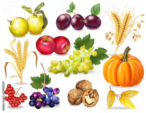 Autumn set Vector realistic. Pumpkin, wheat, grapes, wine, walnuts, grapes. Detailed 3d design. dark backgrounds