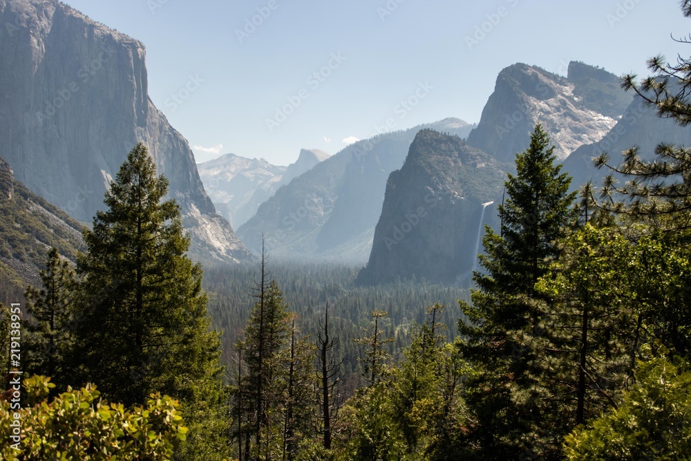 Fototapeta premium Tunnel View