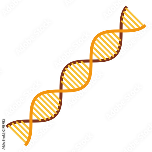 diagonal dna chain science golden color vector illustration design