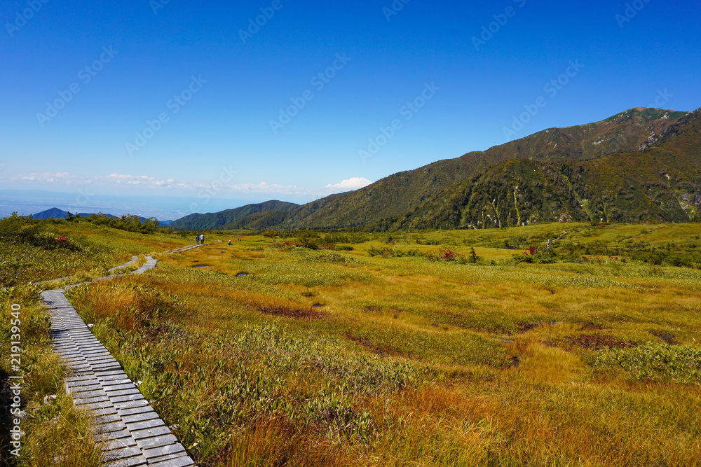 Autumn of Midagahara in Tateyama town, Toyama, Japan. 弥陀ヶ原の秋　日本　富山県立山町　立山黒部アルペンルート　餓鬼田、池塘