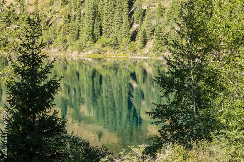 Fototapeta Naklejka Na Ścianę i Meble -  reflection of conifers in the water, summer landscape, Kazakhstan, Lake Kolsai