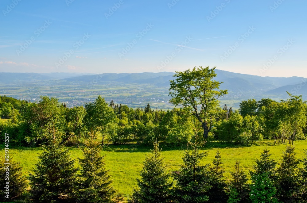 Spring mountain landscape. A beautiful view of the green hills.