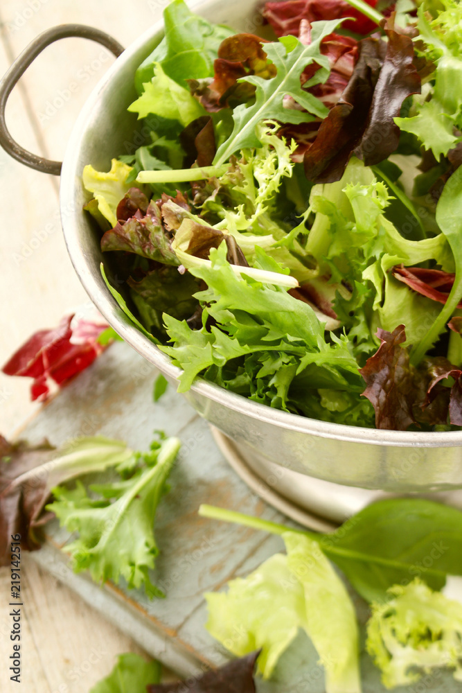 fresh salad leaves fresh salad leaves