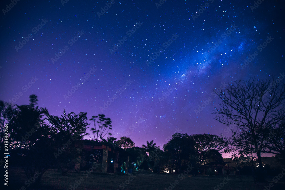 Galaxy landscape with pink and blue light. Long exposure night photo with trees un the dark Galaxy landscape with pink and blue light. Long exposure night photo with trees un the dark