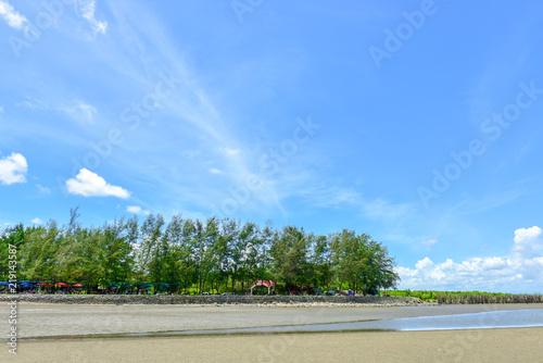 Beautiful Pak nam prasae rayong beach. Natural mangrove forest view in the Rayong bay Thailand. Nature Preserve in Klaeng Foursquare.  photo