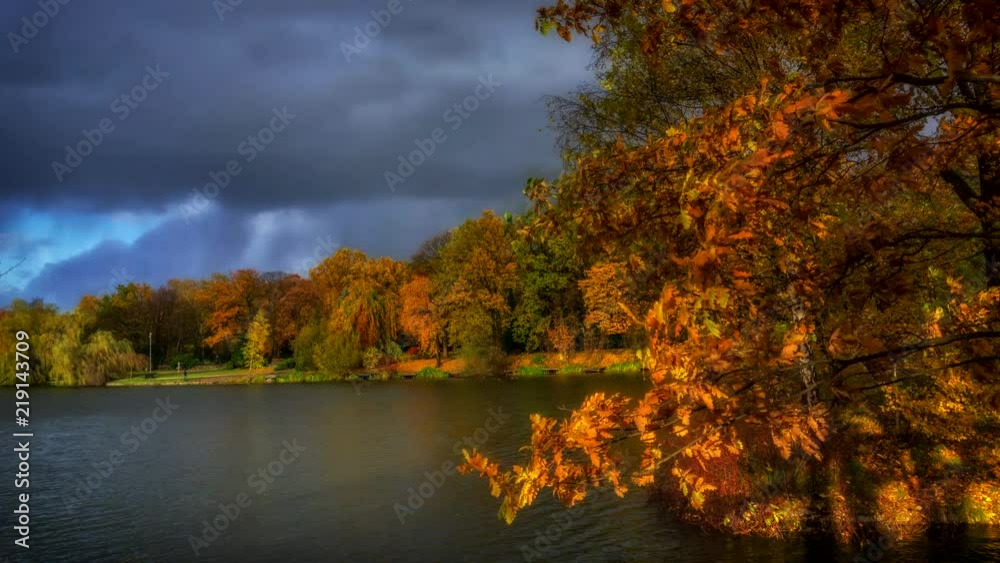 Autumn landscape in the city park. Autumn landscape in the city park.
