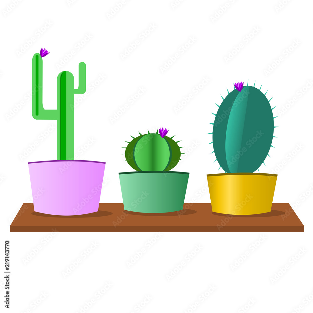 Cactus flora plant in color cans on wood.Illustration.