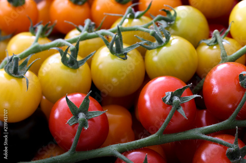 Foto mixed heritage tomatoes