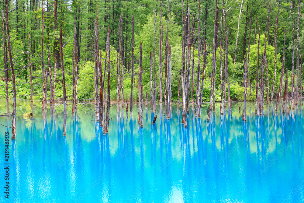 Blue pond Blue pond