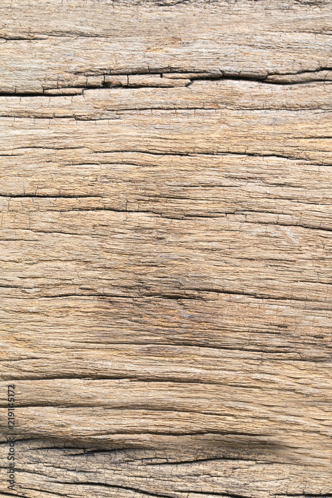 wood to creative for design and decoration isolate on background.Copy space.. wood to creative for design and decoration isolate on background.Copy space..