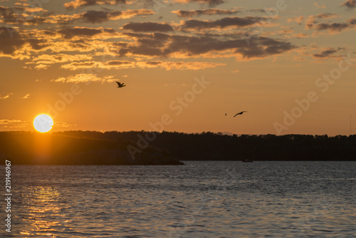 Birds flying over a lake at dusk, Kenora, Lake of The Woods, Ontario, Canada