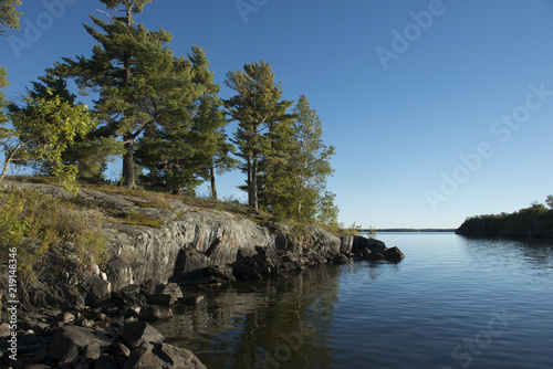 Evergreen Trees on the coast in a lake, Kenora, Lake of The Woods, Ontario, Canada photo