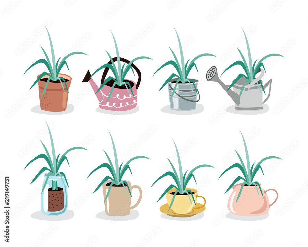 Set of plant in pot isolated vector flat illustration. Colorful pot for your design. Set of plant in pot isolated vector flat illustration. Colorful pot for your design.