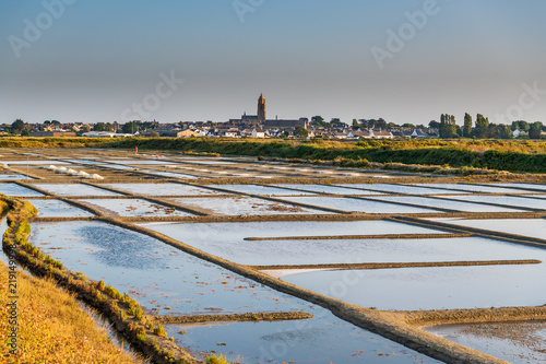 Tableau sur toile salt marsh at sunset