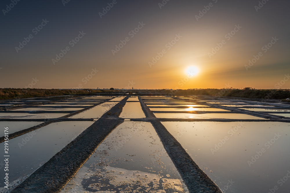 salt marsh at sunset
