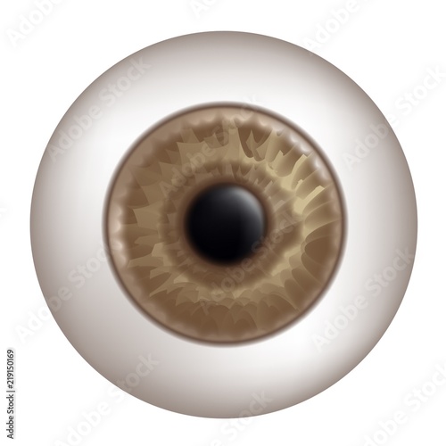 brown human eye