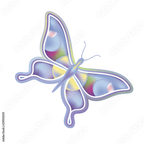 fantasy butterfly illustration