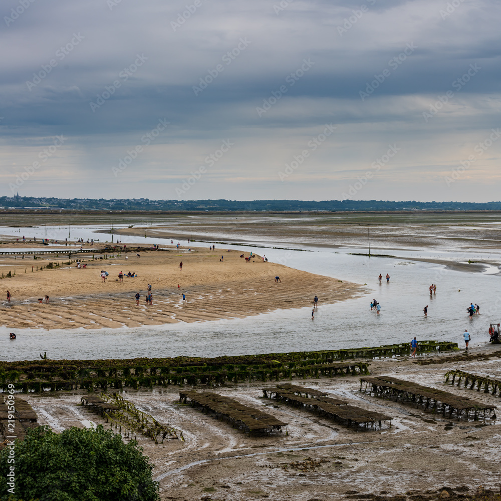 crowd of people harvesting shells at low tide in front of Guerande in the morning in the Traict